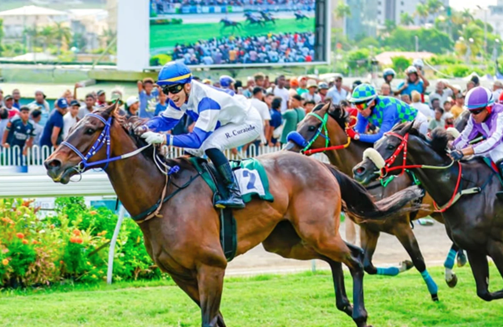 Pikturfgeni || pickturf || mystere hippique || lesduels blogspot || pikturf